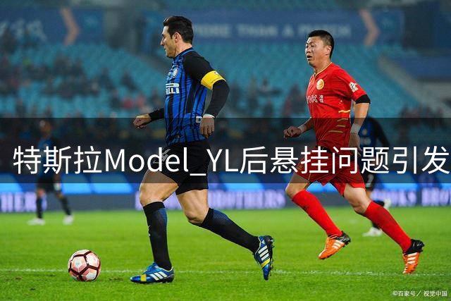 特斯拉Model YL后悬挂问题引发车主担忧